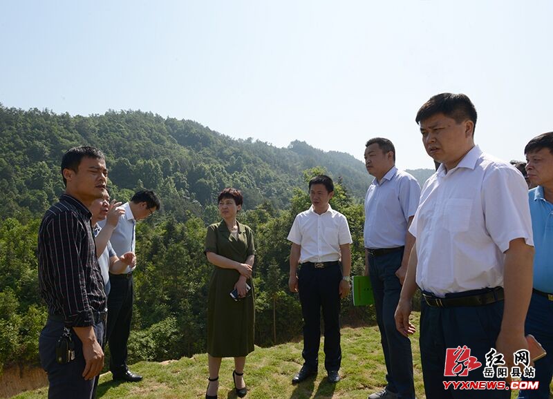 马娜来我县调研铁山水资源保护等工作