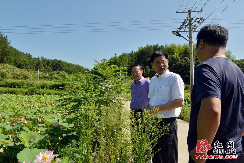 ���ľ�����ë����10��ƶ������ж���