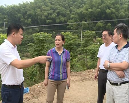 林业局市林业局局长何祚云到大云山察看灾情