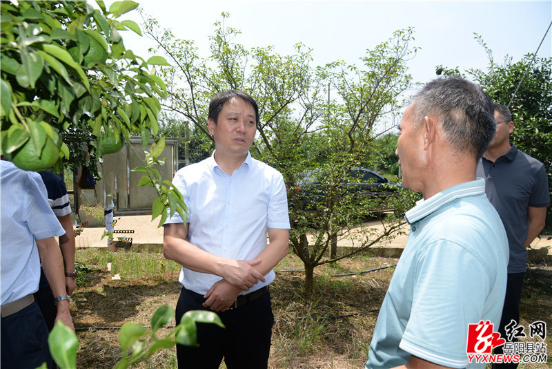 吳光文到榮家灣鎮嶽武村調研鄉村振興工作