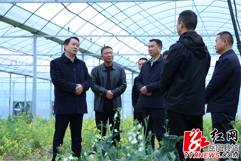 ����ĵ��д�����������