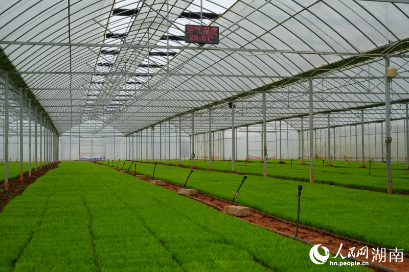 ����ũ������������������������׳�ɳ������������� ������