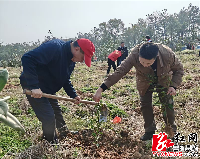 ��ί�쿪չ3.12ֲ�������⵳�ջ