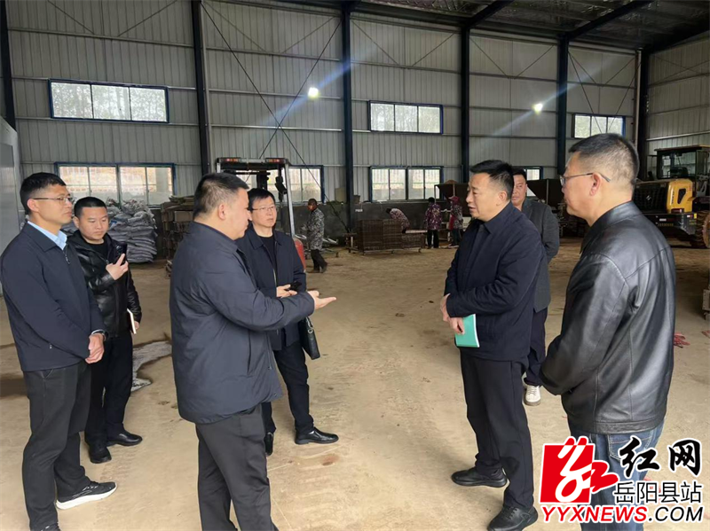 ���������ֽ��򶽵�����