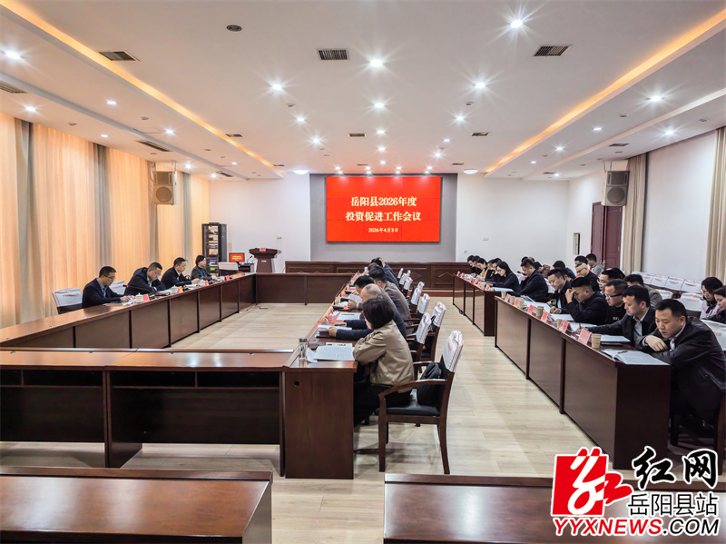 �����ٿ�2026��Ͷ�ʴٽ�������