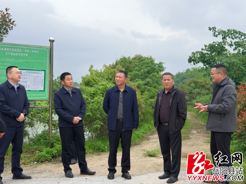 ������������Ѵ��Ѵ����