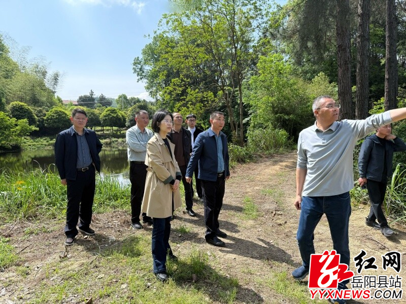 ��ӣ�������򶽵����е�ǰ�ص㹤��