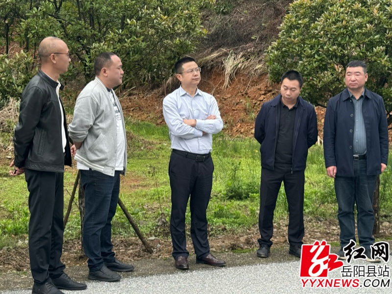 ���ܾ����Ź�Ӣ�򶽵���Ѵ��Ѵ���ص㹤��